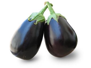 EGGPLANT ORGANIC