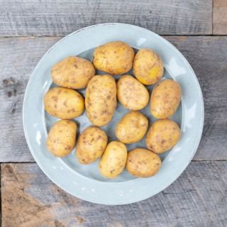 COOKSTOWN GREENS ORGANIC GERMAN BUTTERBALL POTATOES