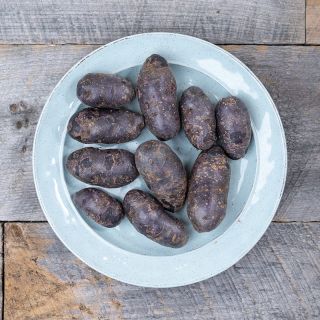 COOKSTOWN GREENS ORGANIC PURPLE POTATOES