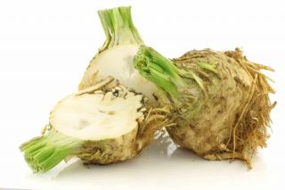 CELERY ROOT LOCAL ORGANIC