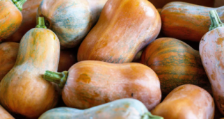 SQUASH BUTTERNUT ORGANIC