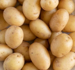 POTATOES MINI YELLOW ORGANIC