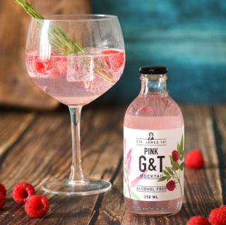 SIR JAMES 101PINK GIN &TONIC MOCKTAIL