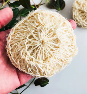 SMILE BOUTIQUES ORGANIC SISAL SHOWER SPONGE