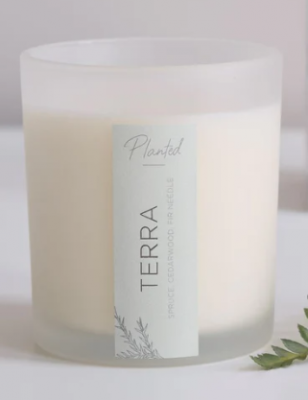 PLANTED COCONUT WAX CANDLE TERRA