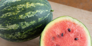 WATERMELON MINI ORGANIC